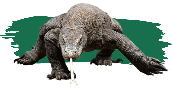 Komodo